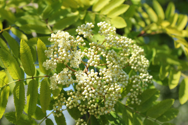 Similar image 20113504