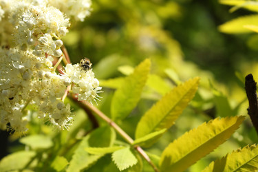 Similar image 20113508