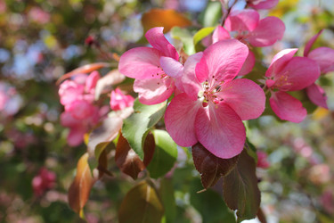 Similar image 20113514