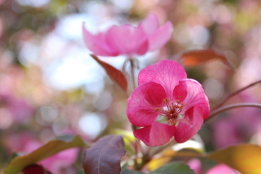 Similar image 20113524