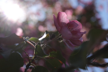 Similar image 20113527