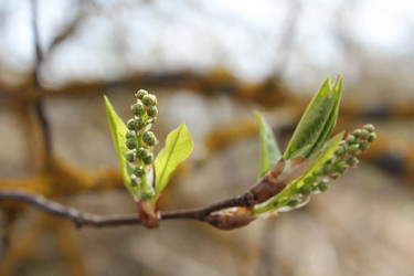 Similar image 20109643