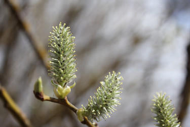 Similar image 20109645