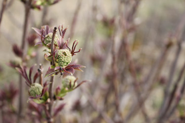 Similar image 20109646