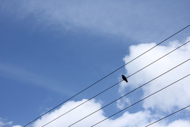 Similar image 20109647