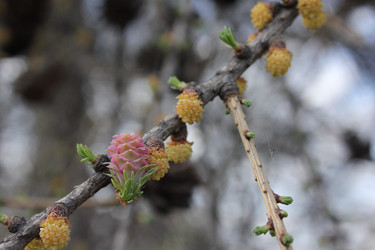 Similar image 20109648