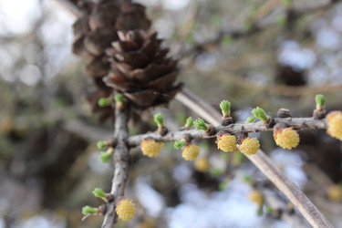 Similar image 20109649