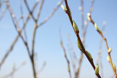 Similar image 20109653