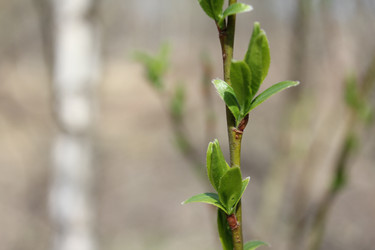 Similar image 20109654