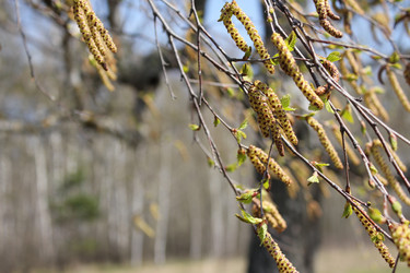 Similar image 20109655