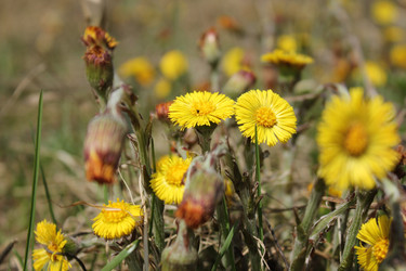 Similar image 20109656