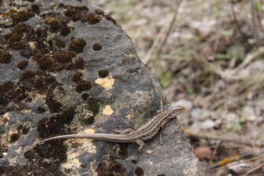 Similar image 20109657