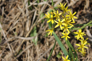 Similar image 20109664