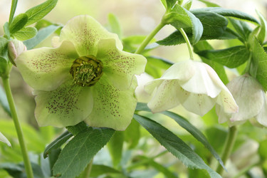 Similar image 20110065