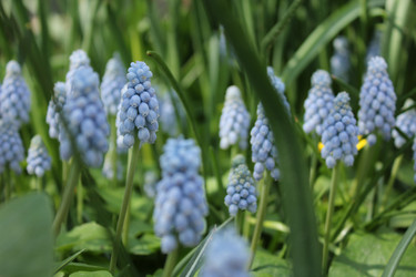 Similar image 20110068