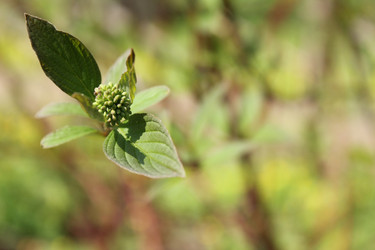 Similar image 20110077