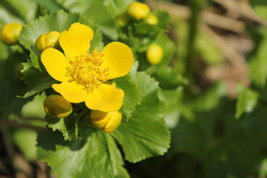 Similar image 20110078