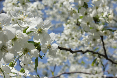 Similar image 20110079