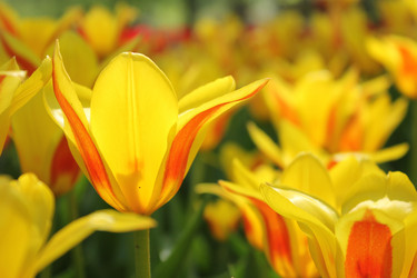 Similar image 20110080