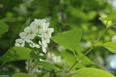 Similar image 20110081