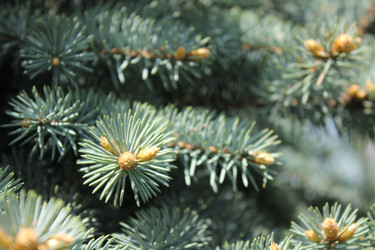 Similar image 20110072