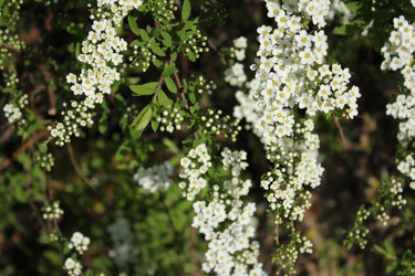 Similar image 20113532