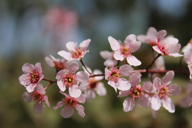 Similar image 20113539