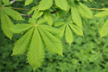 Similar image 20110073