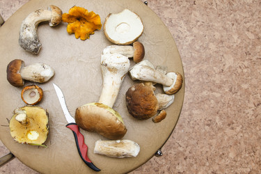 Similar image 20109470