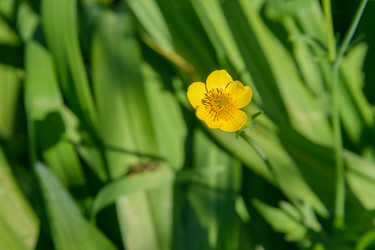 Similar image 20109608