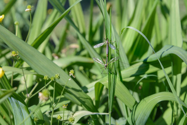 Similar image 20109609