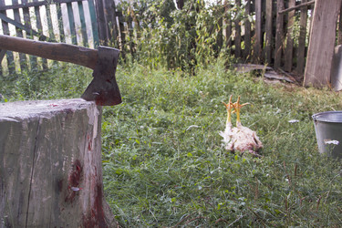 Similar image 20109475