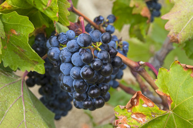 Similar image 20109672