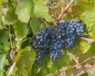 Similar image 20109673