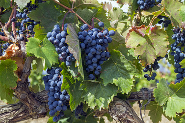 Similar image 20109674