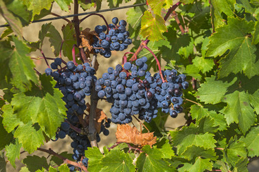 Similar image 20109675