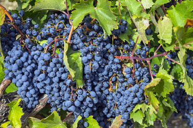 Similar image 20109678