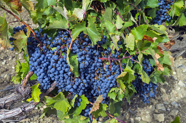 Similar image 20109679