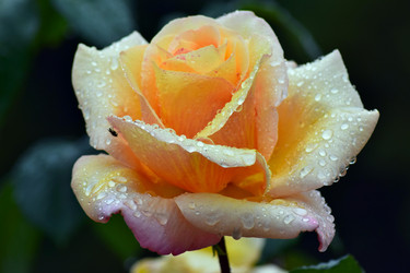 Similar image 20109507