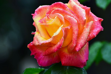 Similar image 20109512