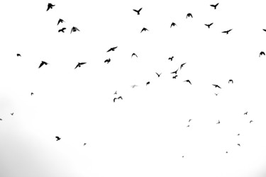 Similar image 20160933