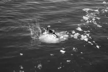 Similar image 20160934