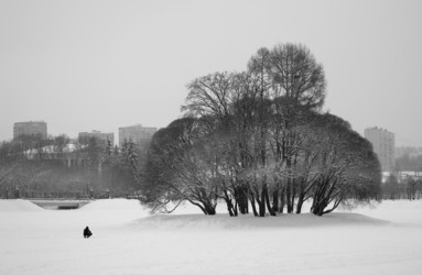 Similar image 20160935