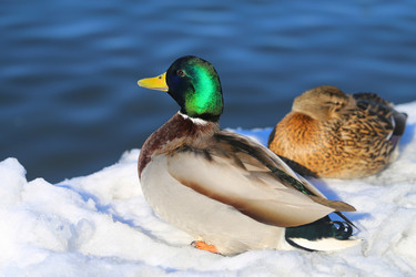 Similar image 20160964