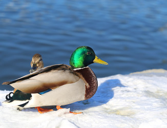 Similar image 20161010