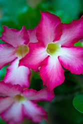 Similar image 20114431