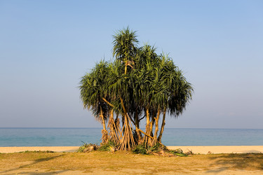 Similar image 20114433