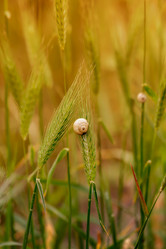 Similar image 20155246