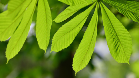 Similar image 20118360