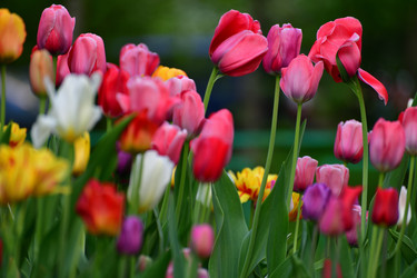 Similar image 20118364